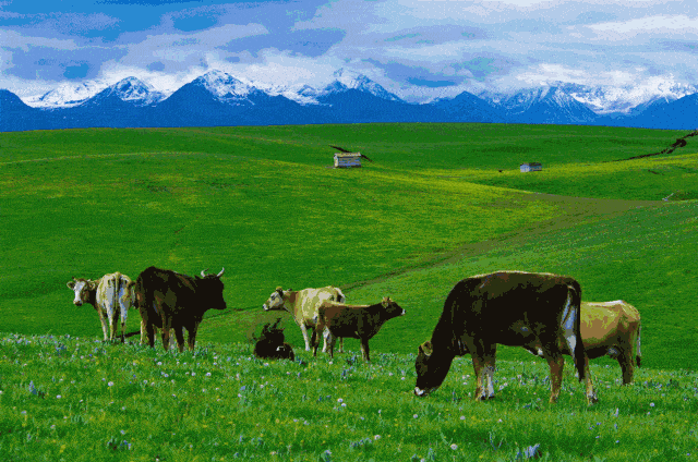 瀚海雄风草原情