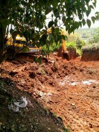 小鸡鸡怎样包工地做事利润高·