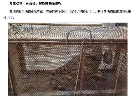 各国开挖机伙食对比,最后一个心碎成玻璃碴子