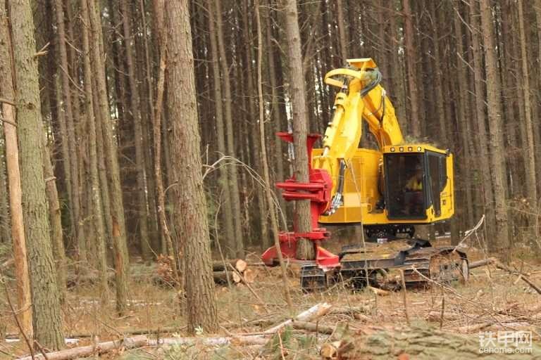 国产自动伐木机图片