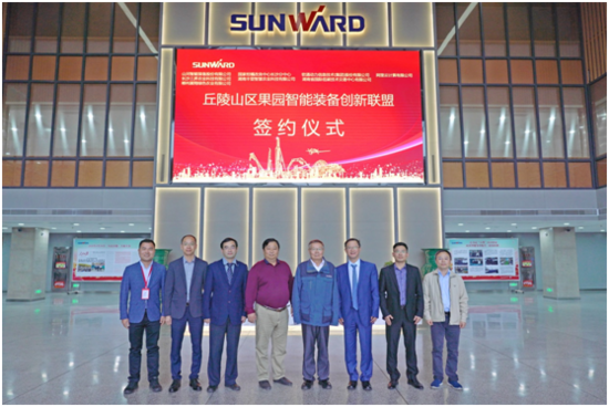 郴州网站建设行业的最新动态