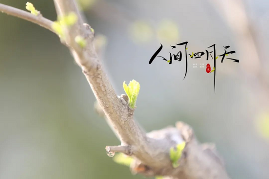 山重建机:你好,山重最美的人间四月天!
