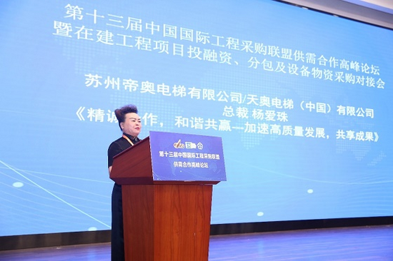 中国国际工程咨询<span class=