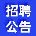 中国工程机械工业协会招聘公告