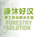 绿林好汉 | 柳工林业成套设备解决方案
