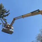 【应用】欧历胜高机为加拿大园林与树木维护公司提供卓越解决方案！