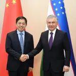 乌兹别克斯坦总统米尔济约耶夫会见向文波