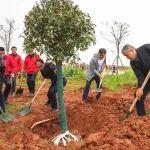 “植”此青绿 共赴春山 | 铁建重工组织开展 “中国铁建员工在植树”活动