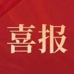 喜報(bào)！迪萬(wàn)倫第20次獲用戶滿意首選品牌