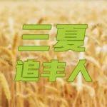 三夏追豐人丨“谷王”收割機緣何成為廣大機手認定的“賺錢利器”？