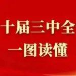 一图读懂 | 党的二十届三中全会公报