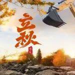 立秋 | 四海忙收獲，XE380GK來助力！