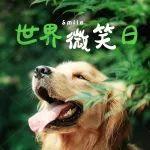 國際微笑日：快看！咱創(chuàng)造的這些優(yōu)美弧線