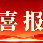 太秀了！濰柴接連斬獲多項質(zhì)量大獎，這些班組問鼎全國五星級！