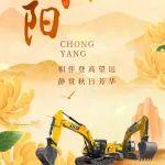 歲往月來，又是重陽。