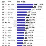 2024年國產(chǎn)車銷量TOP20，一文告訴過年買什么車靠譜