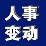 中國(guó)建材股份任命新執(zhí)行董事