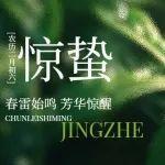 惊蛰雷动，中国混凝土展唤醒行业新活力