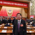 全國政協(xié)委員林龍安：“AI+跨境電商”賦能大灣區(qū)發(fā)展的時(shí)代來了丨兩會連線
