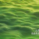 春分|共赴春光 播種希望