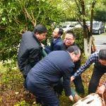 國際森林日 | 鐵建重工組織開展 “中國鐵建員工在植樹”活動