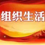 凝心鑄魂強(qiáng)黨性 實(shí)干擔(dān)當(dāng)啟新程 | 華柴公司各黨（總）支部完成2024年度組織生活會(huì)和民主評(píng)議黨員工作