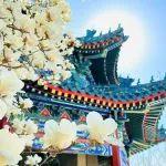 戰(zhàn)略金屬博物館 | 揭開(kāi)稀有戰(zhàn)略金屬的神秘面紗——鉍
