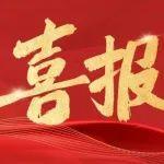 喜報！協(xié)會獲評5A級社會組織，高質量賦能行業(yè)發(fā)展
