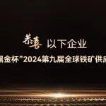 恭喜以下企業(yè)榮獲“黑金杯”2024第九屆全球鐵礦供應(yīng)商20強(qiáng)