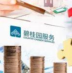 碧桂園服務(wù)：毛利率四連降背后 規(guī)模擴(kuò)張的代價(jià)丨財(cái)報(bào)觀察