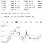 紫金礦業(yè)與江西銅業(yè)2024年銷售收入結(jié)構(gòu)對比
