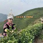 跨界助農(nóng) 茶香傳情