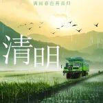 清明丨細(xì)雨紛紛綠漸濃，湖山相伴萬(wàn)物生