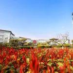 當繁花邂逅奮斗，山東重工濰柴人奮進在春天里