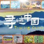 尋跡中國｜外國博主驚嘆中國智能制造