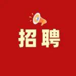 無筆試！鄂爾多斯有崗！