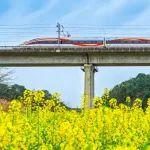 全路各級黨組織高標(biāo)準(zhǔn)高質(zhì)量推進(jìn)學(xué)習(xí)教育