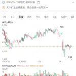 大中礦業(yè)2025年第一季度凈利潤(rùn)下滑分析總結(jié)