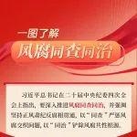 何為風(fēng)腐同查同治？