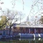 清華大學建校114周年校友返校指南