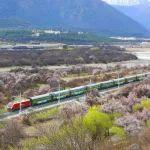 這個(gè)春天，多趟旅游列車啟程出發(fā)！