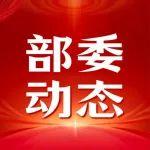自然資源部下達(dá)本年度首批鎢礦開采總量控制指標(biāo)