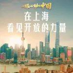 一眼心動(dòng)的中國丨在上?？匆婇_放的力量