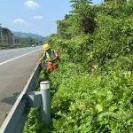抓住立夏除草黄金期！公路人必备的"斩草除根"黑科技
