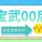 整頓一切？原來你們是這樣的寶武00后