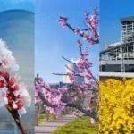 瞧！這座火電廠里有五彩春天