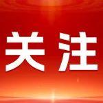 2025中國國際礦業(yè)大會將設礦業(yè)權轉讓專場將對擬拍賣礦業(yè)權做盡職調(diào)查