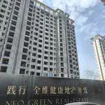 大幅加仓地产，新绿色药业赴港上市要解资金难题