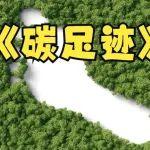 【特別策劃】混凝土企業(yè)碳足跡管理準備與核查策略