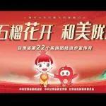 【民族團(tuán)結(jié)進(jìn)步宣傳月】 甘肅省第22個(gè)民族團(tuán)結(jié)進(jìn)步宣傳月主題宣傳片
